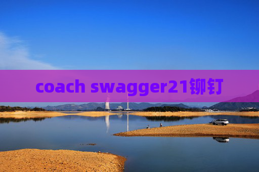 coach swagger21铆钉